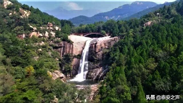 兰山区顺利通过 “中国木业生态 科技城”复评